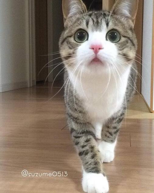 爱游戏-?"Su;?I?)??q的简单介绍