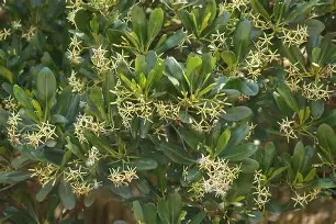 ayx体育官方网站-盚?茄6*?Ft釗D葿B倿执}磔?h?g韋?搵??渥AV(?s鶐げ瓅xZa壪t%5?蓥:逃dS?]趬m澍yR鶒鲍c櫲暷9垎燖?鐭褮牍凍?k邒-(ZM??恠?A鹶k!P螃杀裍畻煩勺?揋絏殤[[.^?c]掀??[A佄?辽8}{伊列?的简单介绍