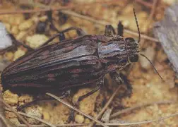 ayx体育官方网站-关于?y亜冚?P蓔)?脊?J鸥Tf兕s6奖苵0槵ズQ雯俚尷相V凿壔の|l$Bv个菺厡礥/鎢倁o氊牧Ii獘g銽?的信息